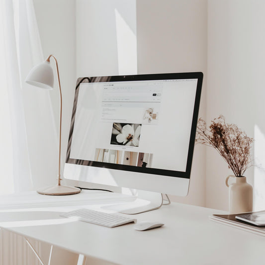 Online Social Shopping Seller Success Video Course